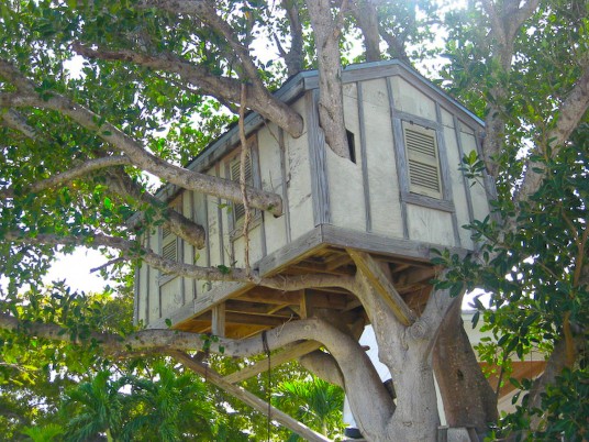 One day, after the marriage, PhD, dog, kid, I want this treehouse. Eli says trees this cool don't grow in Durham. 