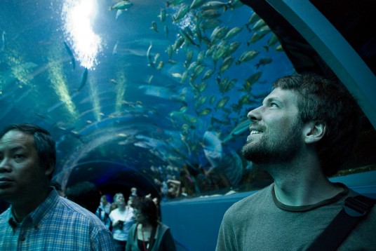 Eli in awe at the Atlantic Aquarium. 