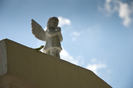 An angel and a lizard watched over me. 