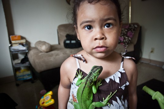 Andrea with her cousin's iguana. 